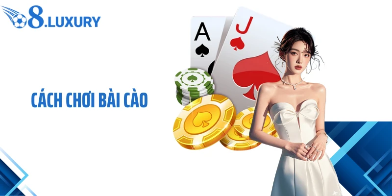 Cách Chơi Bài Cào- Hướng Dẫn Cho Người Chơi Mới